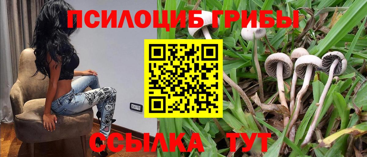 Псилоцибиновые грибы прущие грибы Кириши